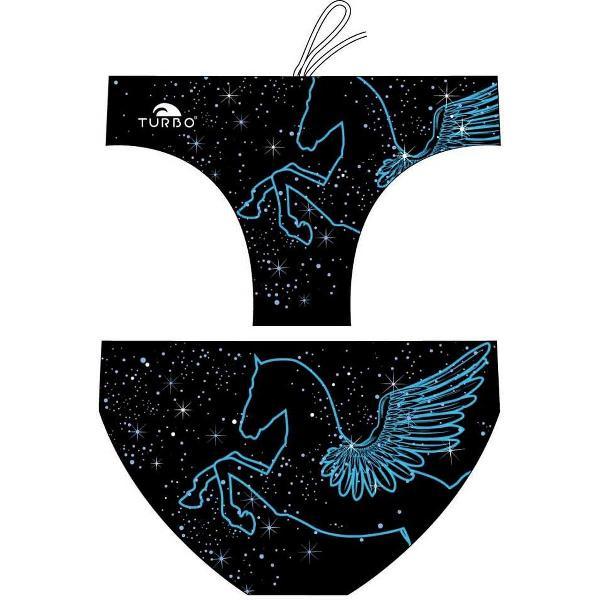 Foto van TURBO Pegasus Zwemslip Heren - Black - XXL